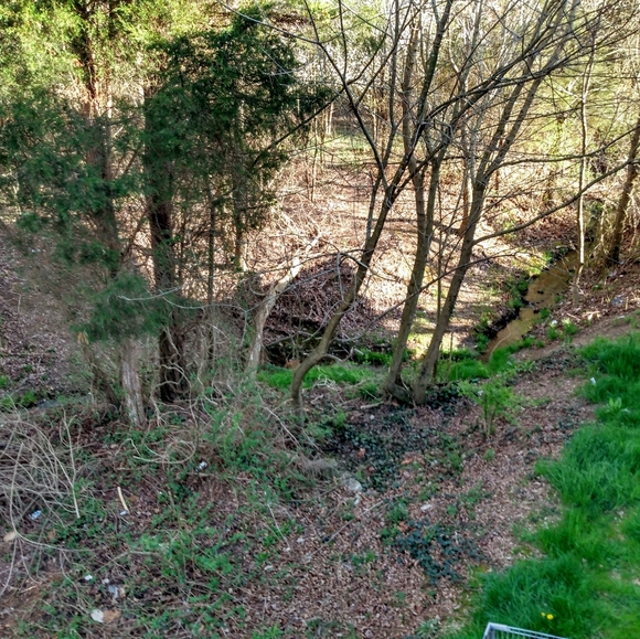 Meet your Posher, Tess - Picture 4 of 12